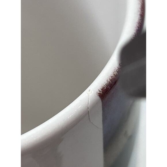 VTG. 1998 St. Louis Cardinals Mark McGuire 70 Home Runs Coffee Mug Mlb - Picture 10 of 12